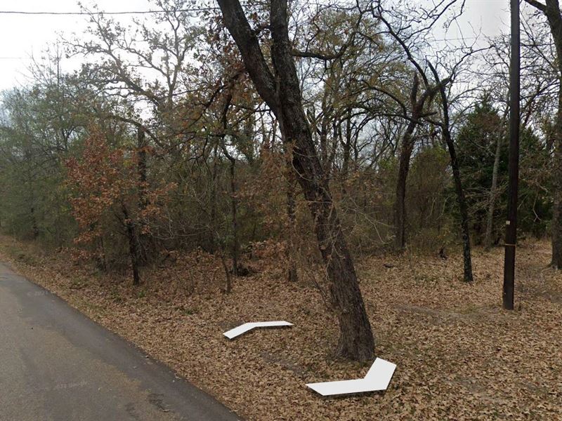Fishing, Boating, Hiking : Seven Points : Henderson County : Texas