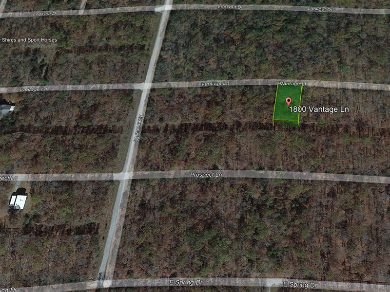 Equestrian Nearby with Trail Rides : Izard : Izard County : Arkansas