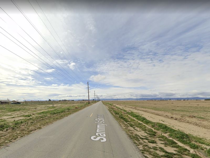 2.5 Acres for Sale in Rosamond, CA : Rosamond : Kern County : California