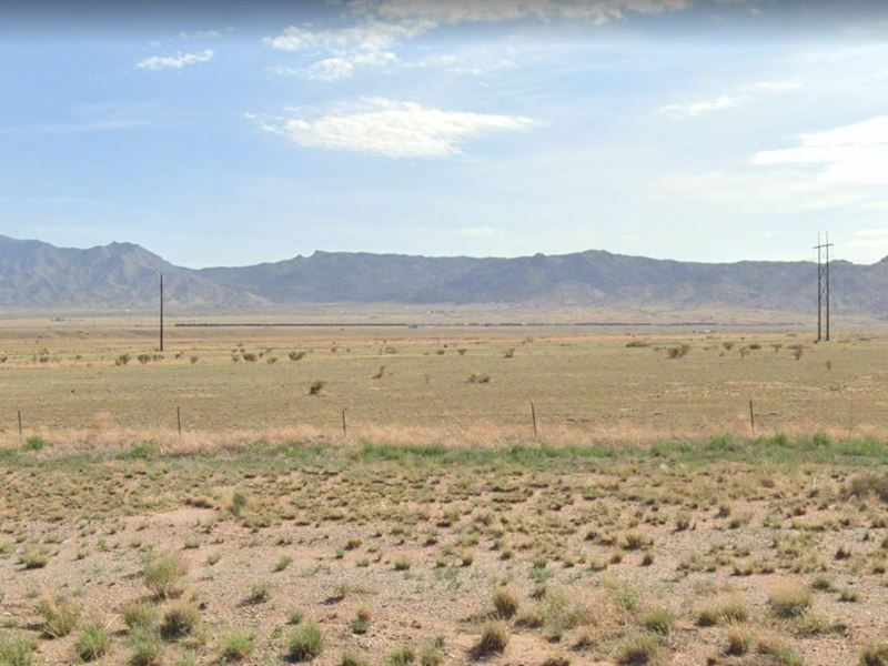 Find Peace and Privacy on 0.25 Acre : New Mexico : Valencia County : New Mexico