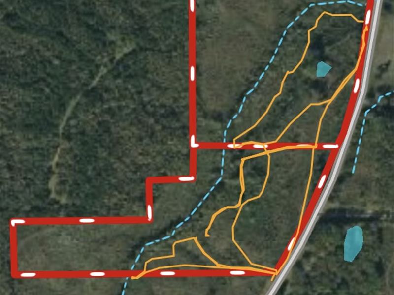 62+/- Ac, Hwy 35 N in Attala County : Kosciusko : Attala County : Mississippi