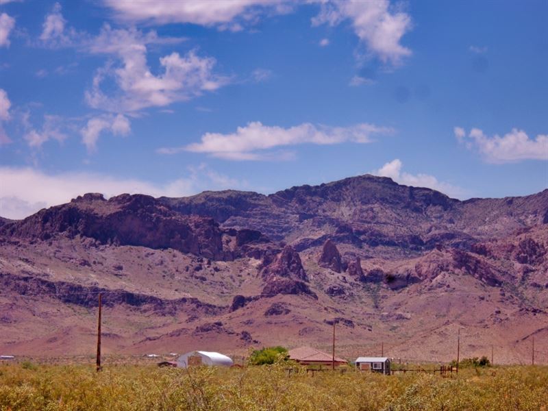 Unmatched Investment Potential : Golden Valley : Mohave County : Arizona