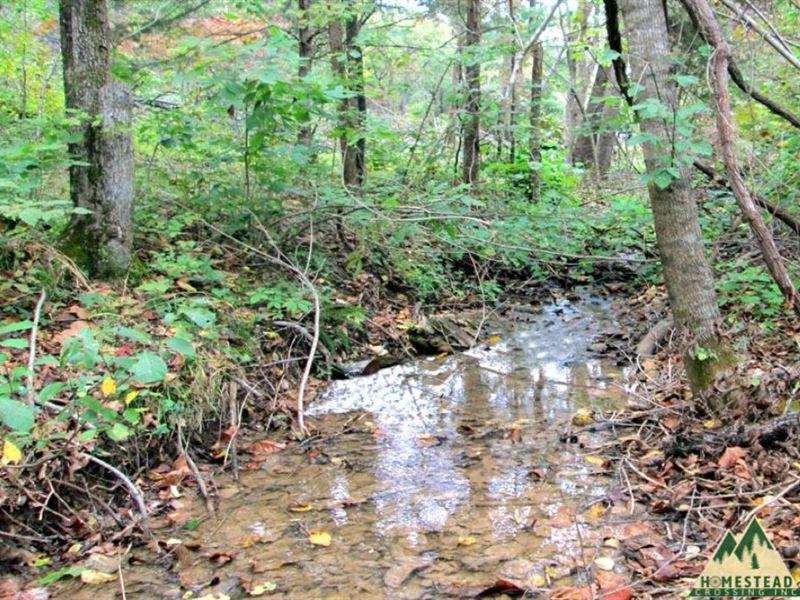 Seasonal Creek & Electric Available : Ava : Douglas County : Missouri