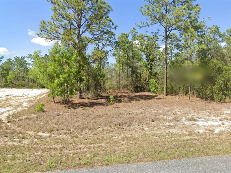 Discover Your Outdoor Paradise : Citrus Springs : Citrus County : Florida