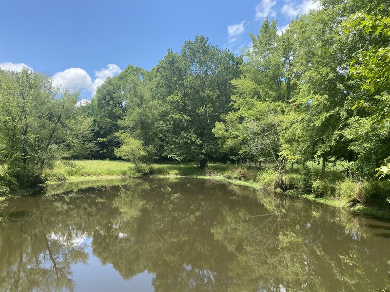 TN Land with Pond & Creek : Adamsville : McNairy County : Tennessee