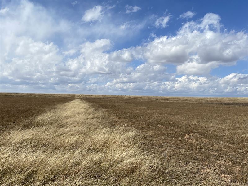 1 Acre Corner Lot with Power : Estancia : Torrance County : New Mexico