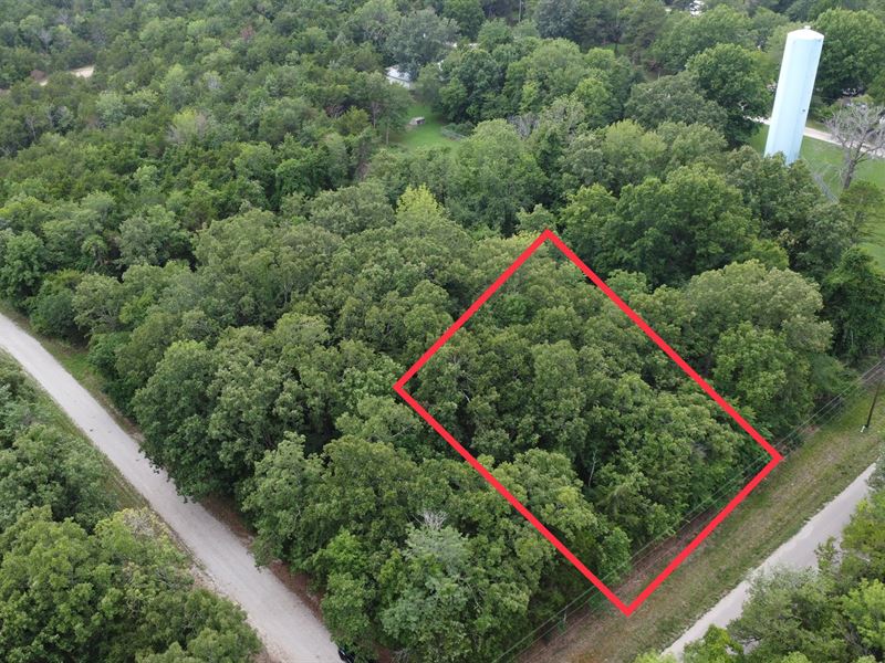 Own a 0.26 Acre Fishing Haven in AR : Diamond City : Boone County : Arkansas