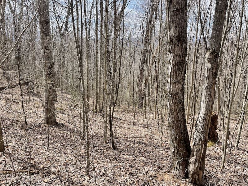Ashe County Mountain Getaway : Creston : Ashe County : North Carolina