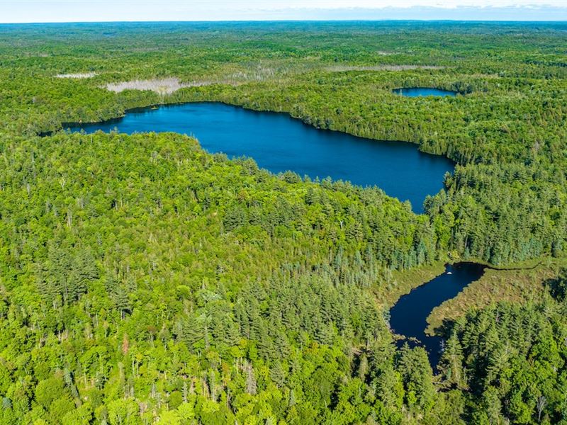 Dommer Lake & Norr Lake : L'anse : Baraga County : Michigan