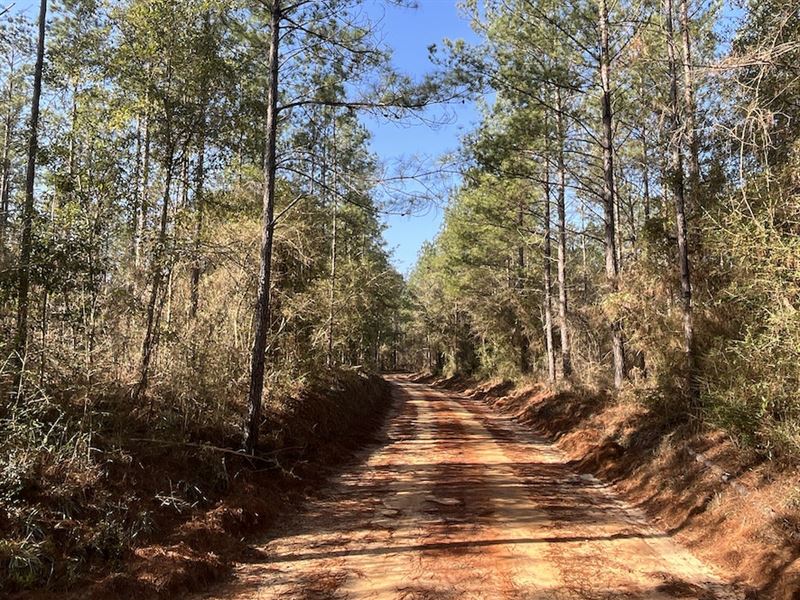 Interstate West : Bonifay : Holmes County : Florida