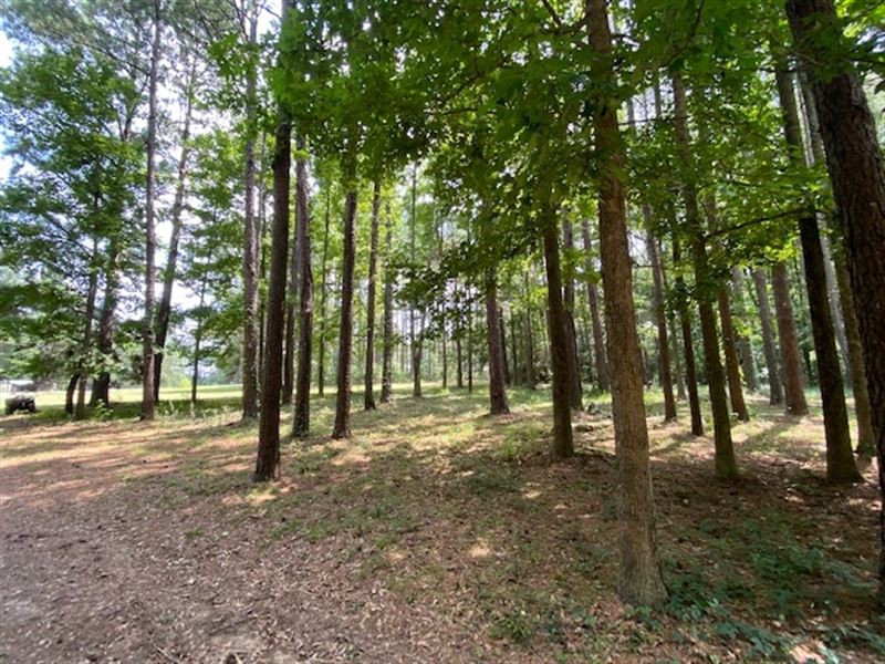 Mobile Home & 4.71 Acres in Nps : Summit : Pike County : Mississippi
