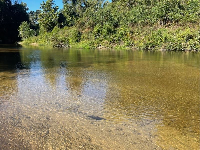 39.5 Acres On Magee's Creek : Tylertown : Walthall County : Mississippi