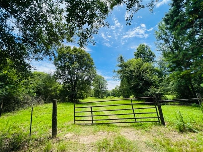 48.84 Acres Of Mostly Pasture, CA : Tylertown : Walthall County : Mississippi