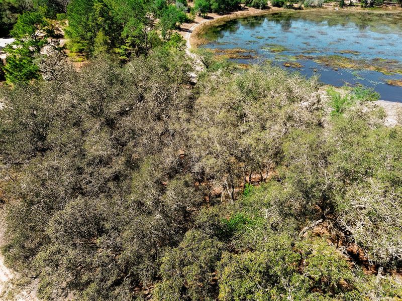 Lakefront Florida Land : Interlachen : Putnam County : Florida