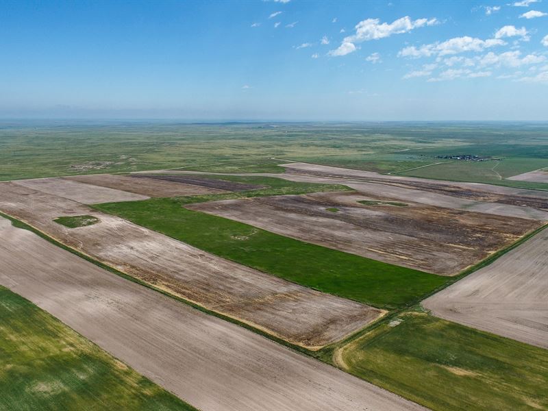 Stracener Dryland Farm : Bushnell : Kimball County : Nebraska