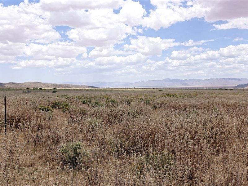 Nice Horse Property : Kingman : Mohave County : Arizona