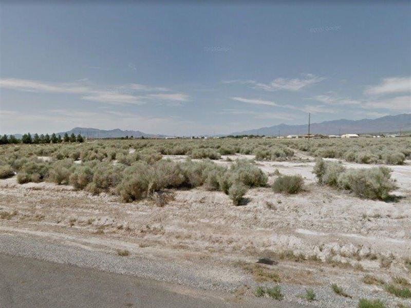 Large Lot in Calvada Valley : Pahrump : Nye County : Nevada