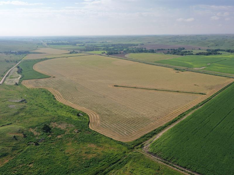 Schreiber Farm Hayes County : Palisade : Hayes County : Nebraska