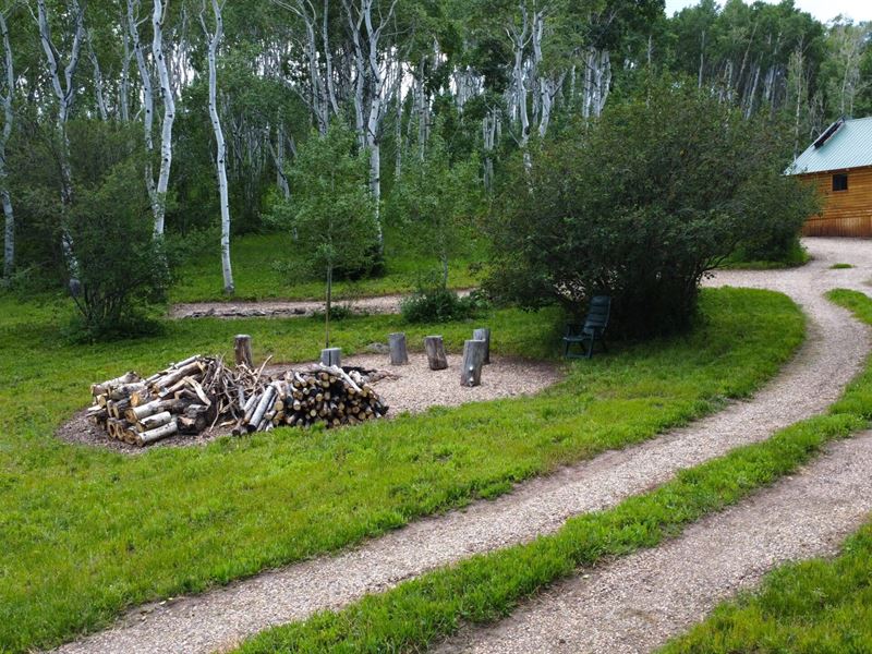Routt Forest Land and Cabin : Craig : Moffat County : Colorado