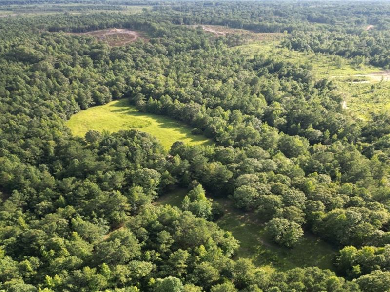 65 Acres in Neshoba County in Colli : Collinsville : Neshoba County : Mississippi