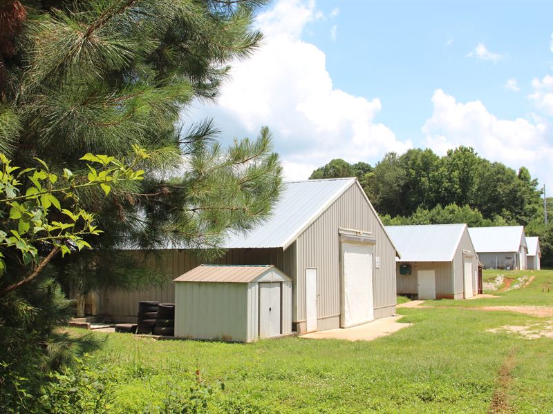Beautiful 4 Breeder House Farm : Roopville : Carroll County : Georgia