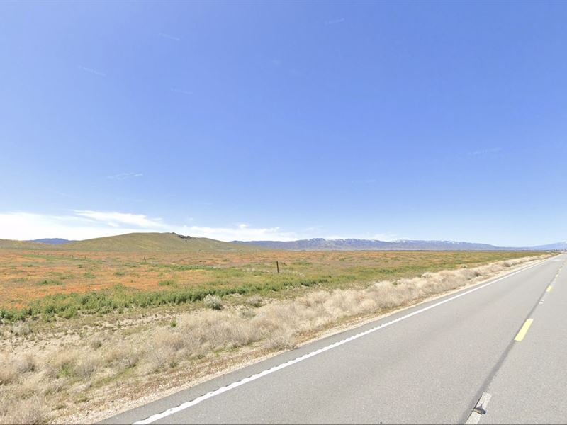 Captivating Scenery, West Lancaster : Lancaster : Los Angeles County : California