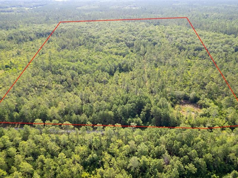 Lot 106 Aucilla Plantation : Greenville : Madison County : Florida