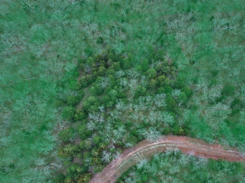 3.36 Acres in Benton County, MO : Edwards : Benton County : Missouri