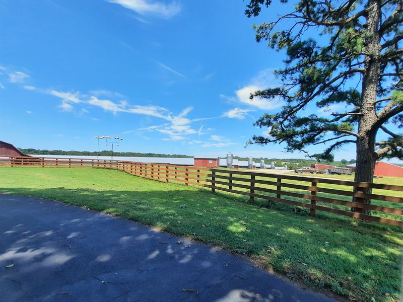 Beautiful 6 House Poultry Farm : Harrison : Boone County : Arkansas