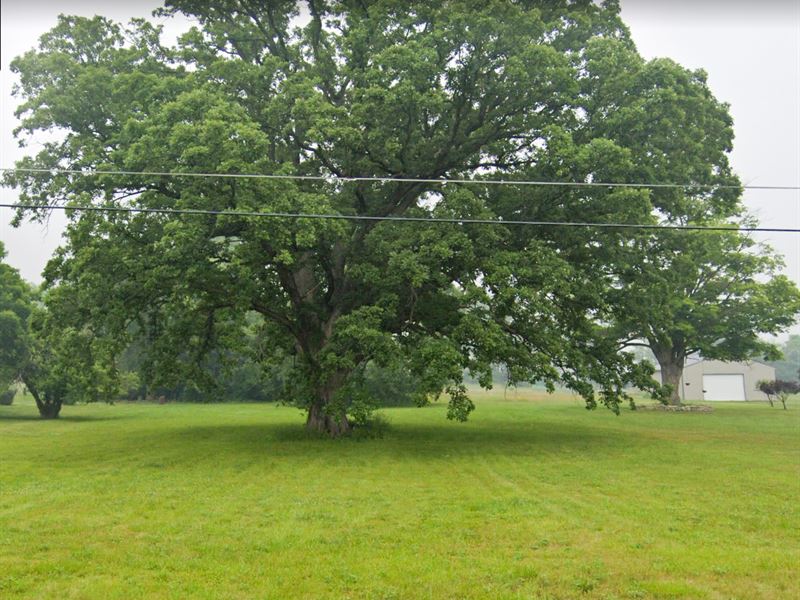 Clear & Level Lot : Mount Morris : Genesee County : Michigan