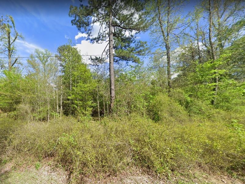 Wooded Lot Near Hensley : Hensley : Pulaski County : Arkansas