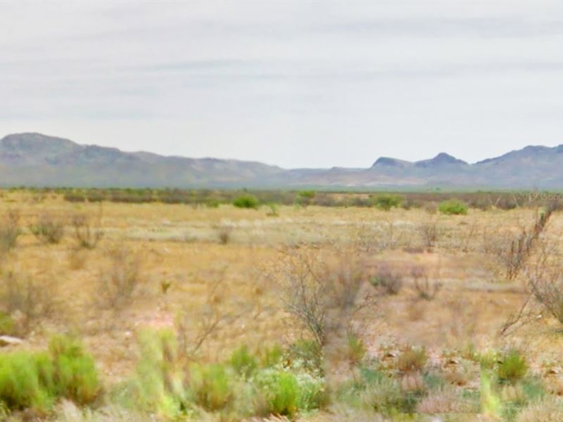 90 Days Same as Cash, $350 Down/Mo : Douglas : Cochise County : Arizona