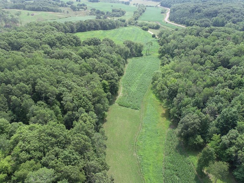 40 Acres Trempealeau County : Independence : Trempealeau County : Wisconsin
