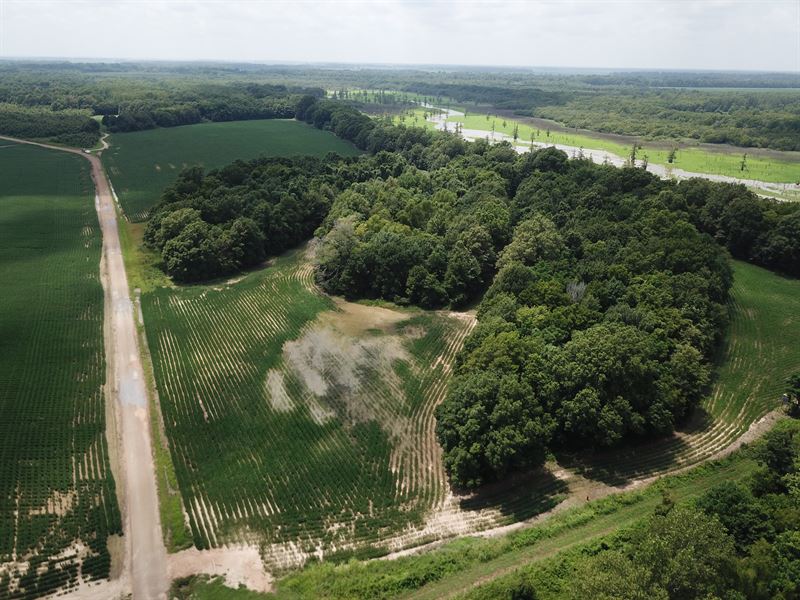 Snake Creek 48.98 : Belzoni : Humphreys County : Mississippi