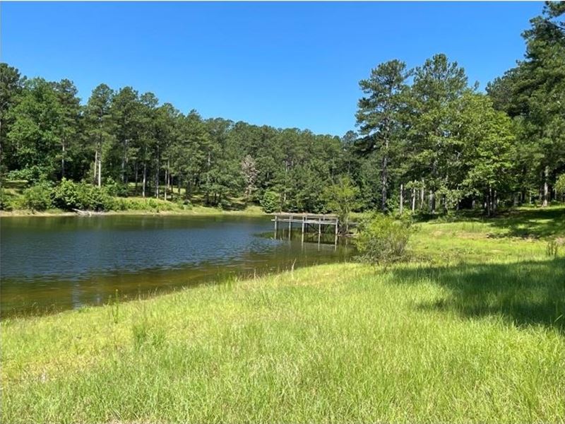 270 Acres in Clarke County in Quitm : Quitman : Clarke County : Mississippi