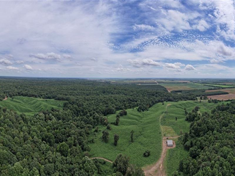 192 Acres in Panola County in Crens : Crenshaw : Panola County : Mississippi