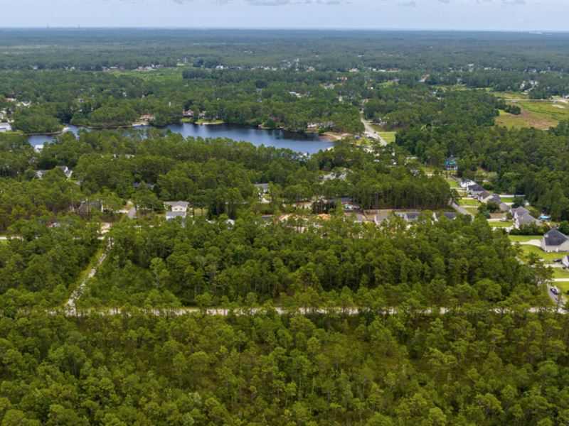 .36 Ac Vacant Lot, Brunswick County : Winnabow : Brunswick County : North Carolina