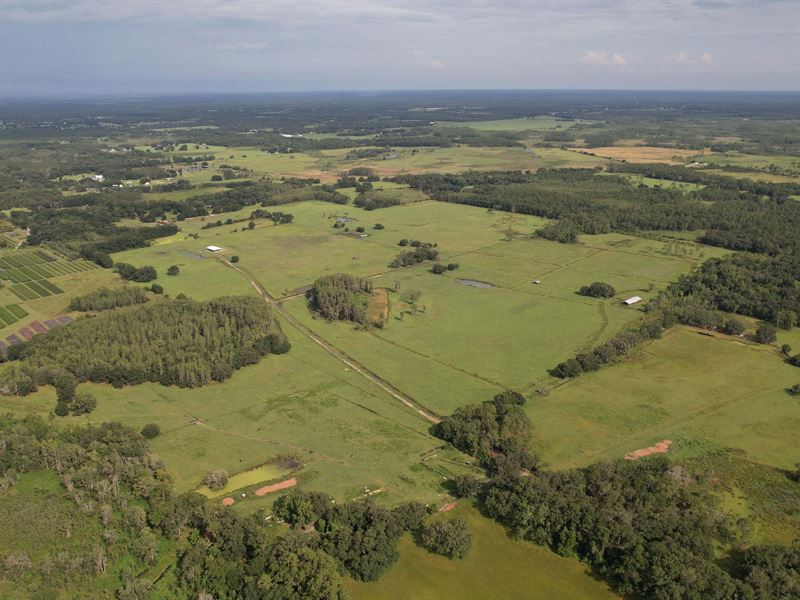 Lake County Ranch Land, 170 Acres : Groveland : Lake County : Florida