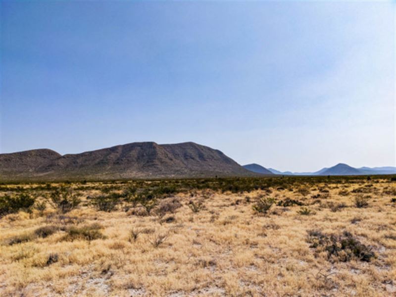 Nature Lover's Paradise : El Paso : El Paso County : Texas