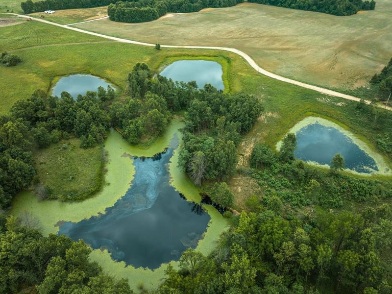 Moberly Whitetail Tract 6 : Madison : Monroe County : Missouri