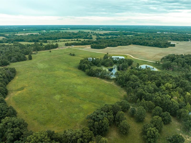 Moberly Whitetail Tract 7 : Madison : Monroe County : Missouri