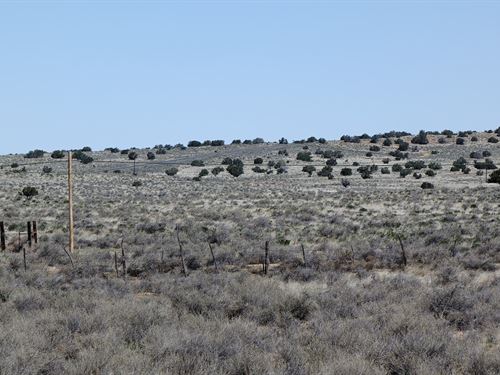 Invest in Land and Watch it Grow : Sanders : Apache County : Arizona