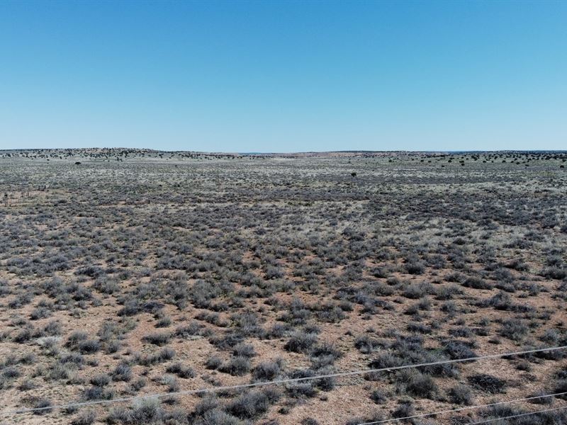 Adjoining Lots, 1-3 Acres Available : Sanders : Apache County : Arizona