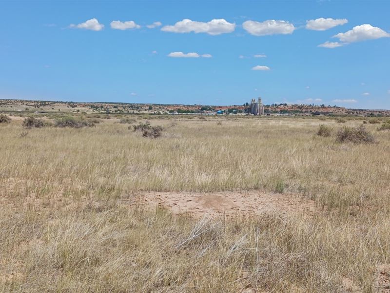 Hike, Hunt, Ride Near Sanders, AZ : Sanders : Apache County : Arizona