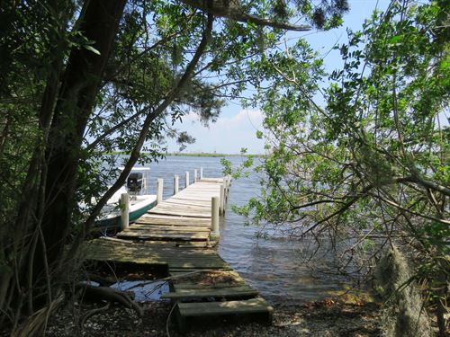 Homosassa Islands : Homosassa : Citrus County : Florida