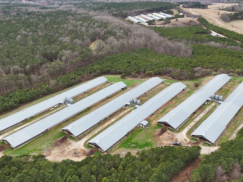 12 House Poultry Farm, 2 Residences : Lexington : Oglethorpe County : Georgia