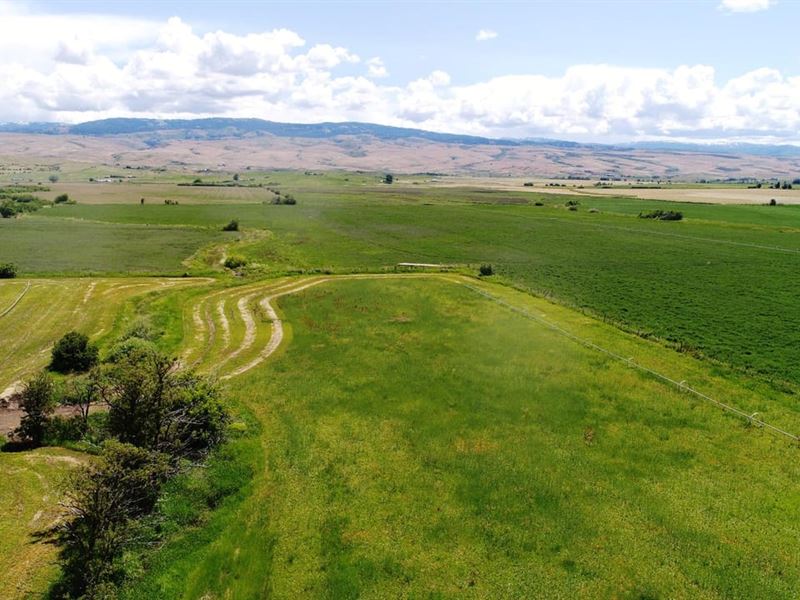 Thorn Creek 25 : Indian Valley : Adams County : Idaho