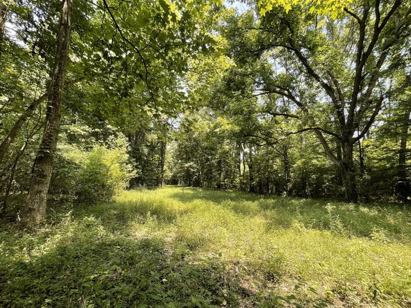 16 Acres in Jefferson County in Lor : Lorman : Jefferson County : Mississippi