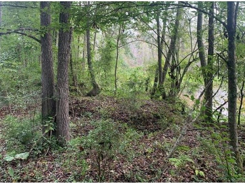 48.5 Acres with Three Homes in Copi : Hazlehurst : Copiah County : Mississippi