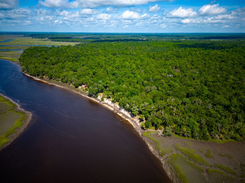 Crooked River Bluff : Woodbine : Camden County : Georgia